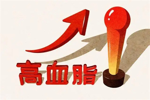 详细介绍