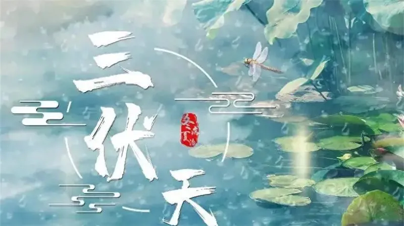详细说明
