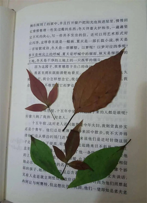 细节描述