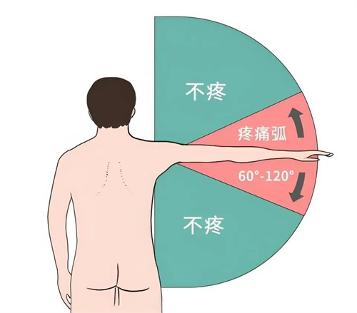 详细介绍