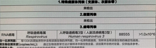 详细描述