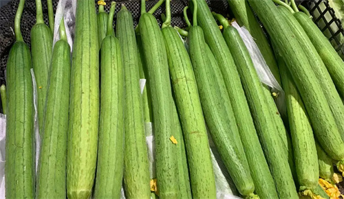 细节介绍