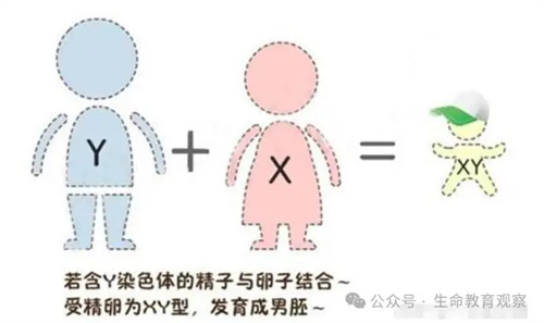详细描述