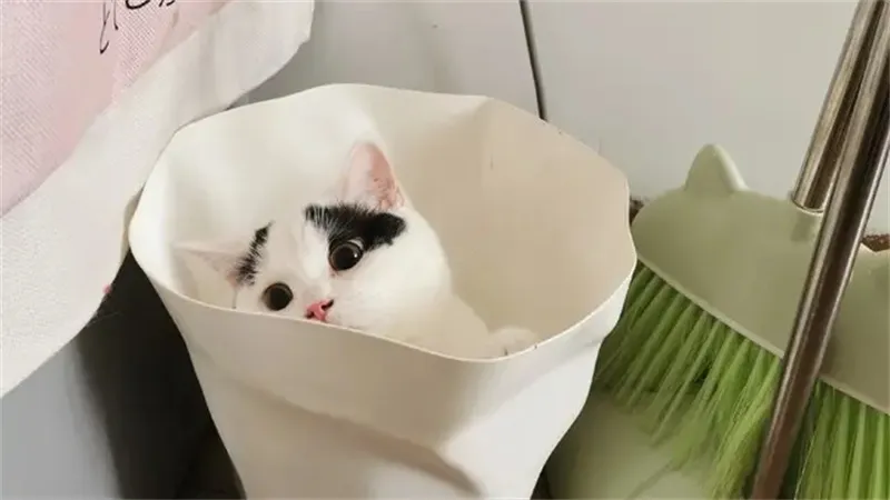细节呈现