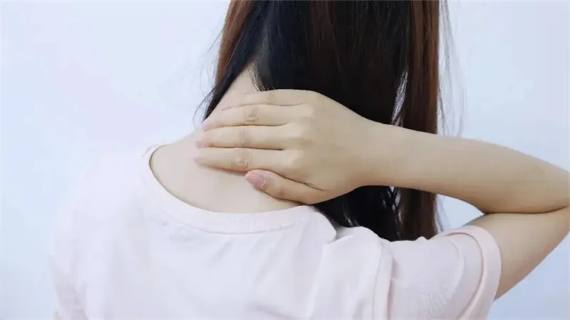 详细介绍