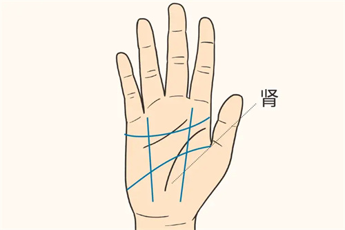 详细介绍