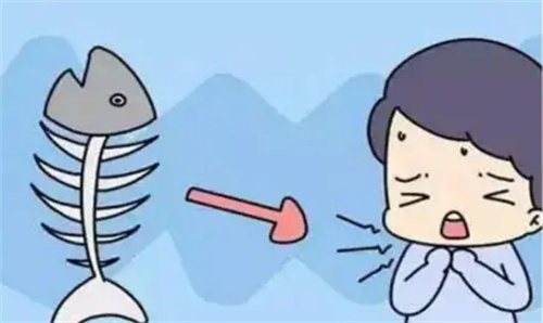详细介绍