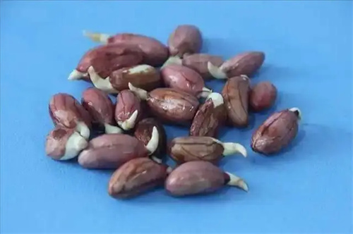 细节描述