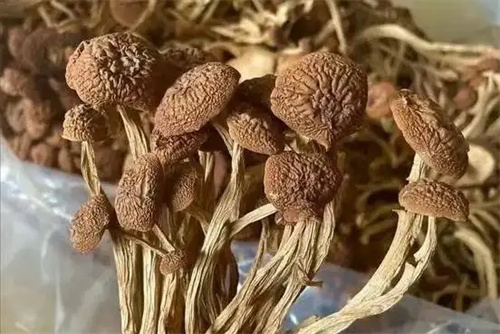 详细说明