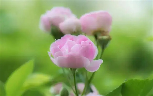 细节说明
