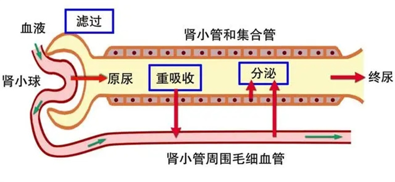 图片细节