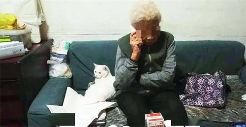 图片细节