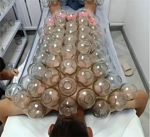 详细介绍