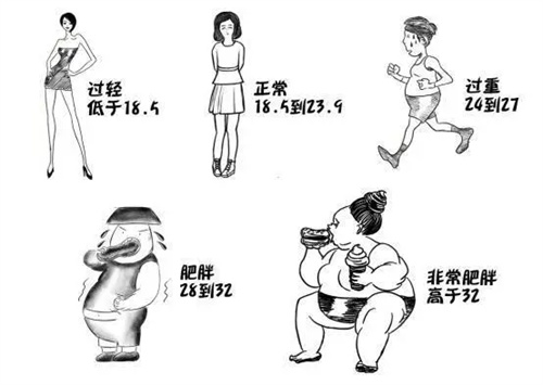 详细展示