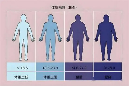 详细展示